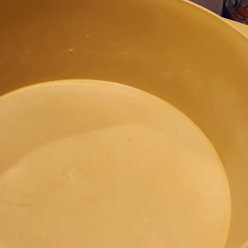 Vintage Tupperware Tortilla Storage  Container